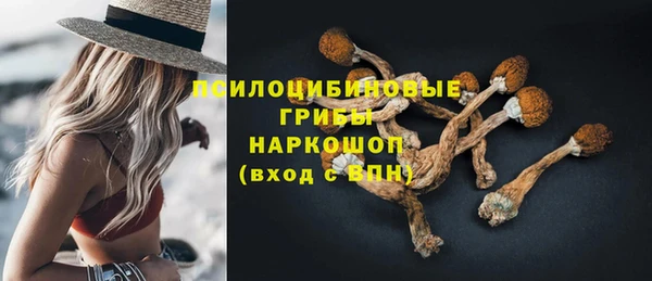 дживик Арсеньев
