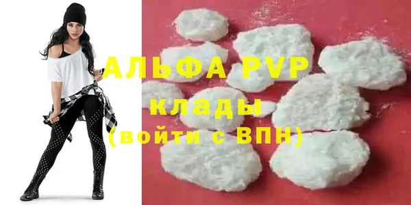 амф Аркадак
