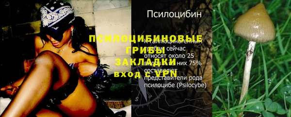 амф Аркадак
