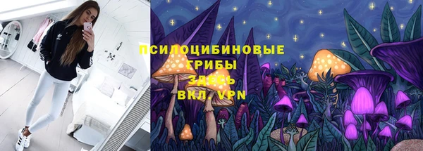 гашик Армянск