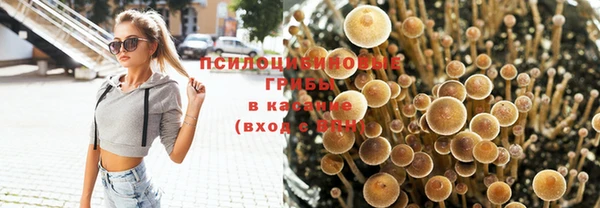 гашик Армянск
