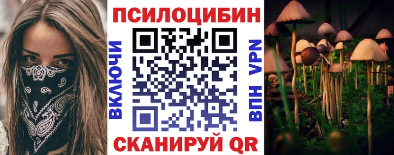 Псилоцибиновые грибы Magic Shrooms  Купить закладки  Баймак 